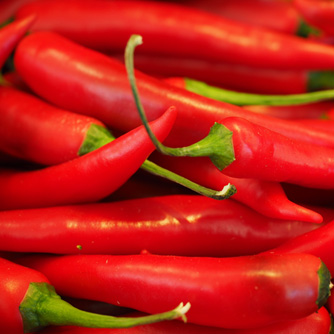 The classic hot red chilli
