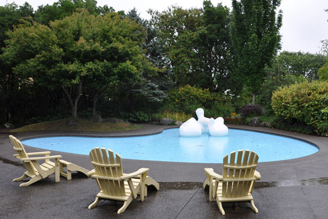 Modernist Garden with funky pool sculpture