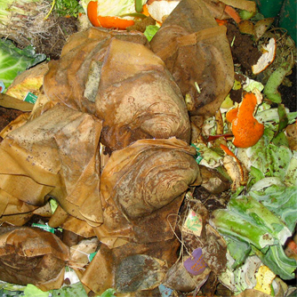 Kitchen scraps are great compost ingredients