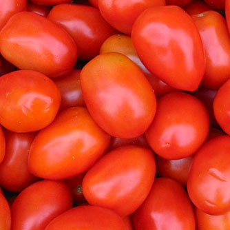 Roma tomatoes with their distinct elongated egg shape