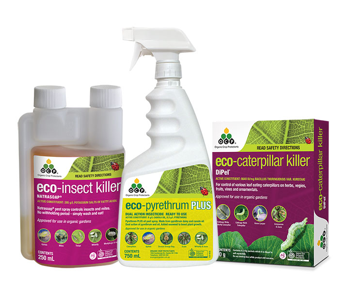 New products join the OCP eco-organic garden range